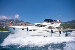 luxer holiday